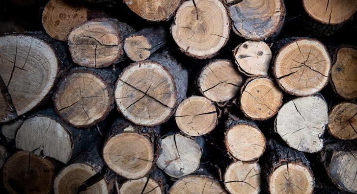 Hó végén jön a fegyverpénz, és tűzifából sem lesz hiány