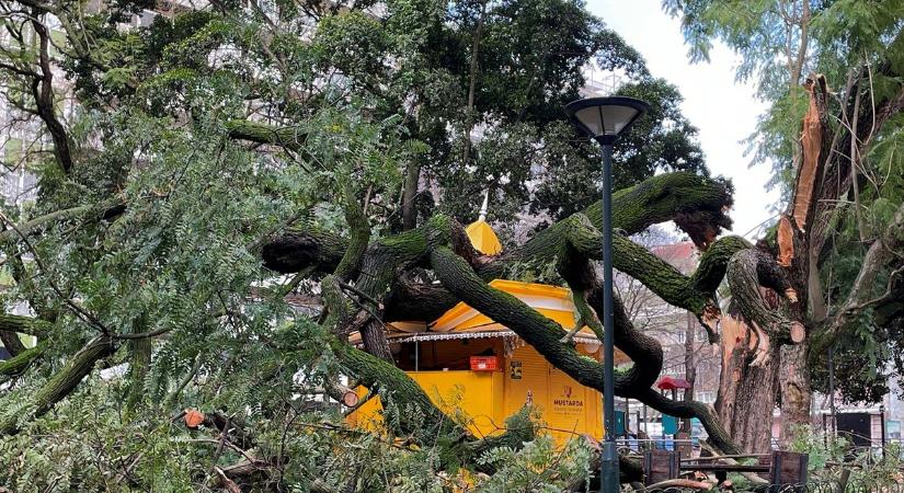 Legalább öt halálos áldozattal járt a portugál téli vihar