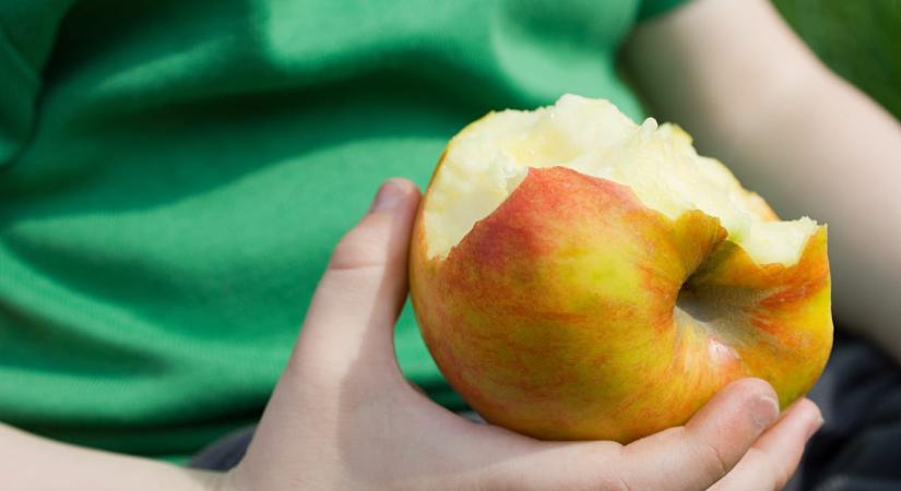 Veszélyes növényvédő szereket mutattak ki az almákban, kiemelkedően súlyosnak bizonyult a magyar helyzet