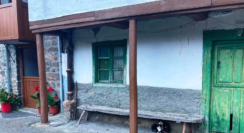 Borzalmas állapotban vannak a családi házak, így képtelenség kifűteni őket