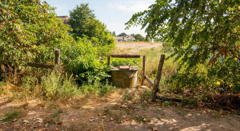 Ez minden gazdát érint: kiszáradhat a magyar vízbázis?