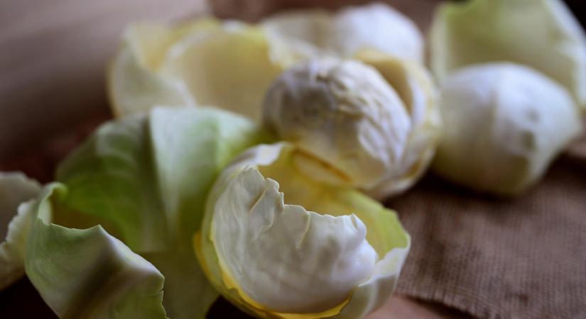 Zöldségek, amiktől jóllakunk, mégsem hízunk – a dietetikusok kedvencei