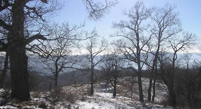 Teljes lezárások a hevesi erdőkben, nem engedik be a kirándulókat