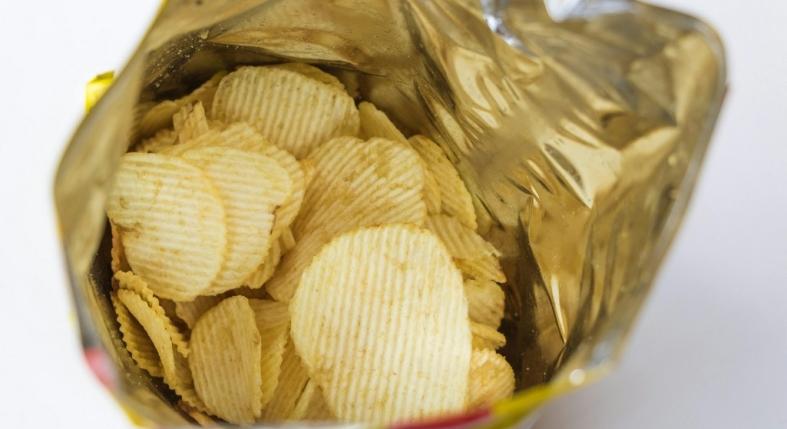 Szabad-e a kutyának chipset adni?