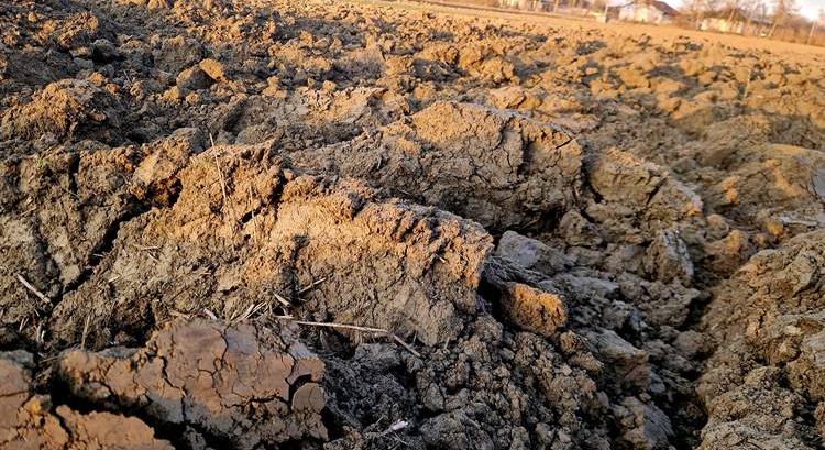 Végre esik, ez mégsem mindenhol segítség