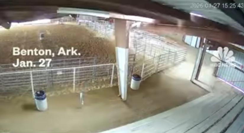 Kártyavárként dőlt össze egy aréna a hó súlya alatt – videó