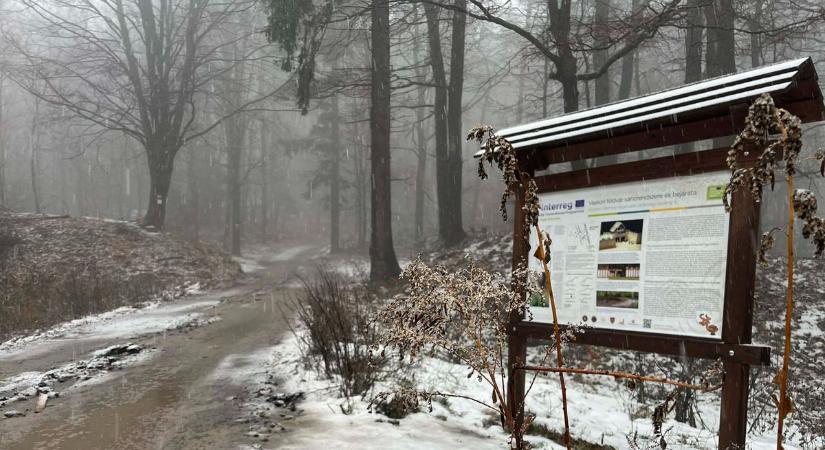 Esernyővel kellett kelni: eső és hószitálás is jutott ma Sopronnak - videó
