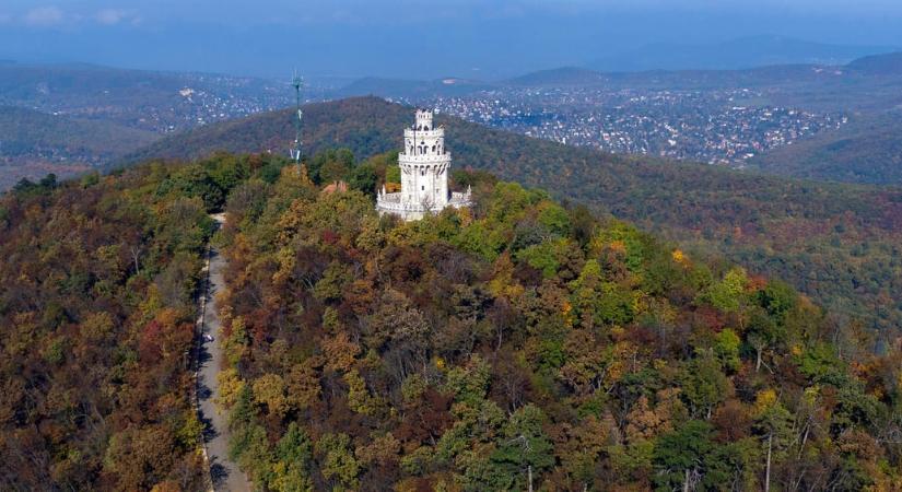 Havi 120 ezer forint bérleti díjat fizet az Erzsébet-kilátó kávézója, aztán kiderült, ugyanaz lett a kedvezményezett vállalat vezetője, aki az önkormányzat részéről intézte az ügyet