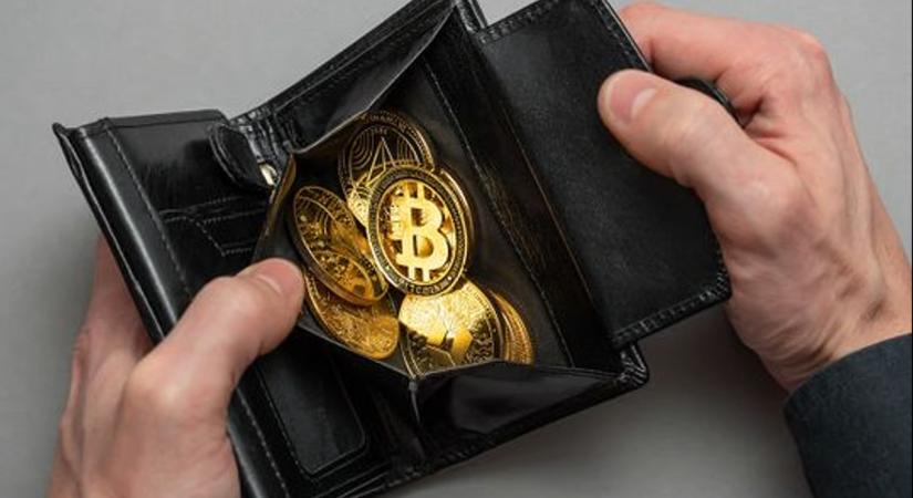 Feléledtek a milliomos XRP tárcák, valami megváltozott a befektetőkben