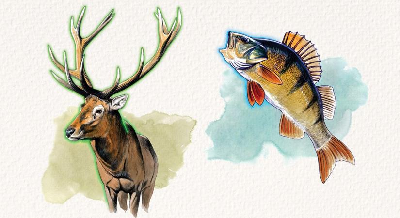 Februárban újra FeHoVa: négy napon át vadászat, horgászat és élmények Budapesten