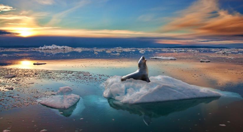 Európa Tanács: Grönland jövőjéről csak Grönland és Dánia dönthet