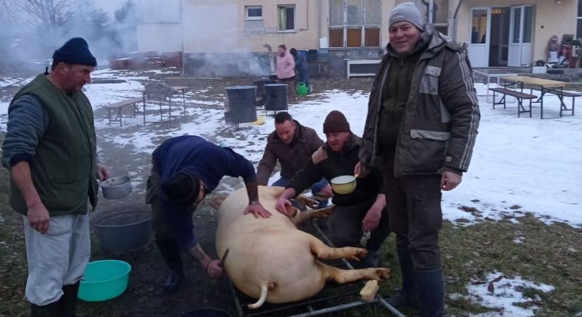 Közösséget épített a magyargencsi disznóvágás