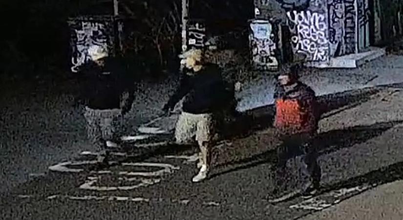 Őrizetbe vették az év egyik legnagyobb műkincslopásának gyanúsítottját