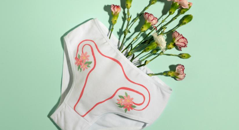 „A női méltóságról van szó” – akik a menstruációs szegénység felszámolásáért küzdenek