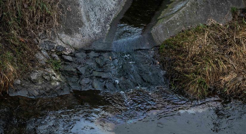 A Rákos-patak olajszennyezése elérte a Dunát