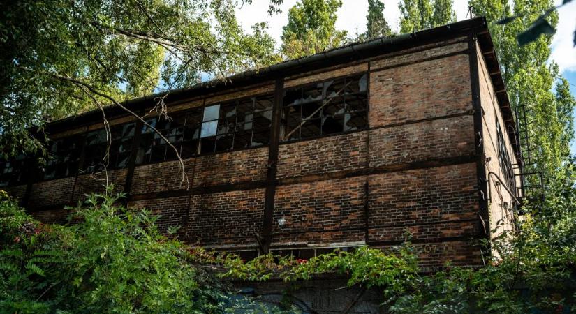 Huszonéves díjlovas vásárolja meg az egykori Ganz Hajógyár területét