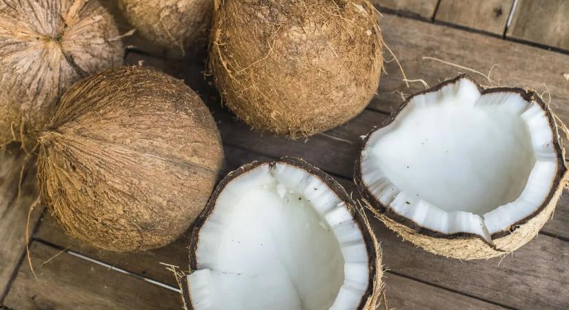 Kipróbáltuk: így kell egyszerűen feltörni a kókuszdiót – VIDEÓ!