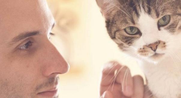 Faültetéssel, versenyautó-kiállítással és autóverseny-szakkönyvek jótékonysági árverésével ünneplik Kiss Norbiék az erdők világnapját Kápolnán