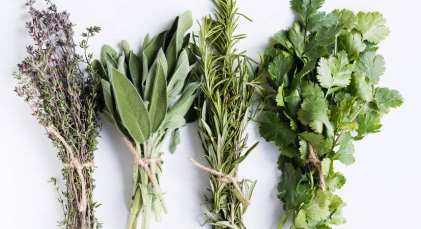 Felismered a fűszereket kép alapján? - villámkvíz