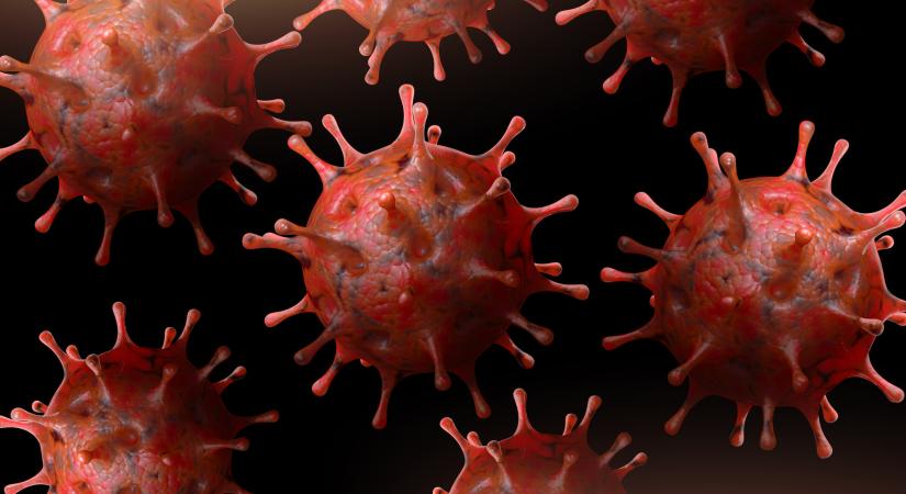 Nipah vírus: újra fenyeget a halálos kór, ezt kell tudni a veszélyes betegségről