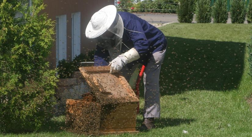 Már nyitva a lehetőség: te igényeltél már ebből a pénzből?