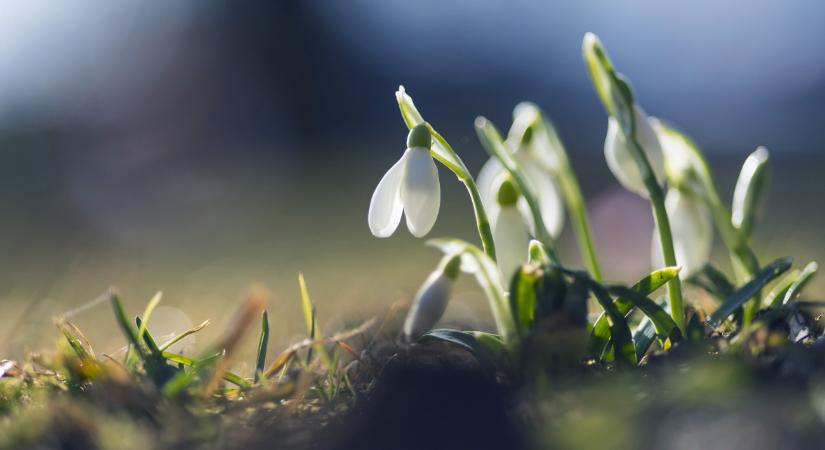 Havazás közeleg, majd újra próbát tesz a tavasz