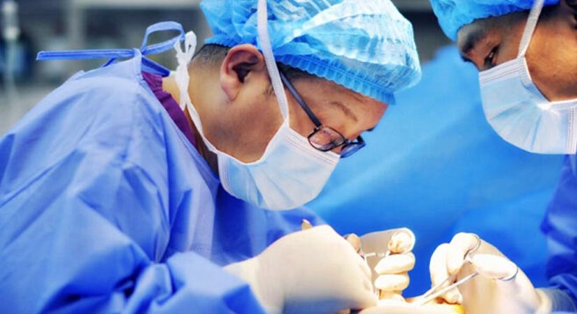 Orvosi mérföldkő Pécsen: Két házaspár mentette meg egymást az első magyarországi vesecserével