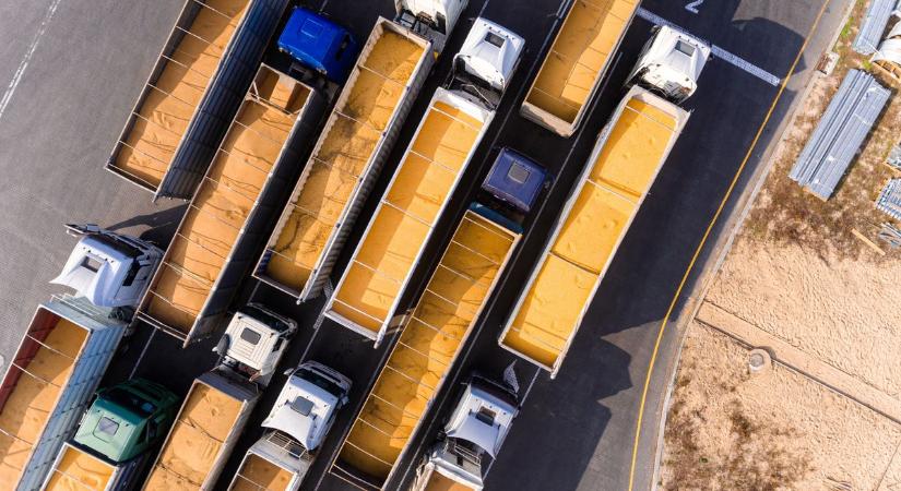 Dübörög a gabonakereskedelem: uniós szabványok tesznek mégis féket a dél-amerikai terményekre