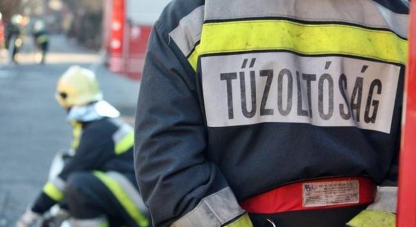 Megdőlt fa állt a közlekedők útjában Zalában