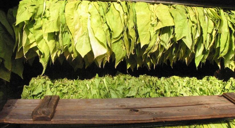 KSH: decemberben 333 millió euró volt a termék-külkereskedelmi többlet