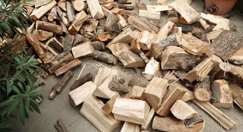 Megyei önkormányzat: a “Kormány” gyors és hatékony segítséget nyújtott a rászorulóknak Hajdú-Biharban