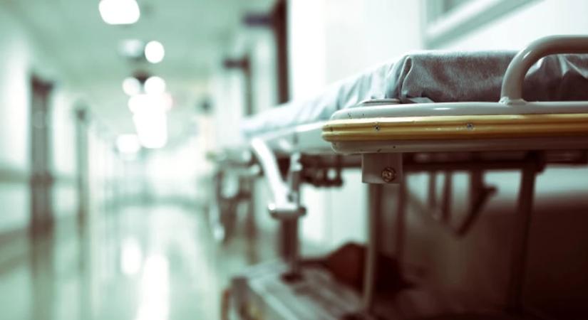 Halálos Nipah-vírus Indiában: veszélyt jelent-e Ukrajnára, és miért szigorítja Thaiföld a járatok ellenőrzését