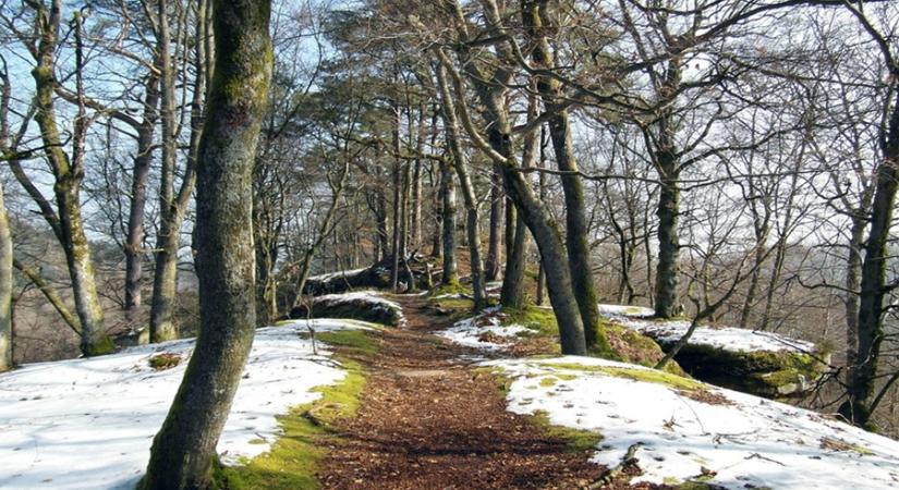 Téli túra a Kis-Balatonon a Vizes Élőhelyek Világnapján