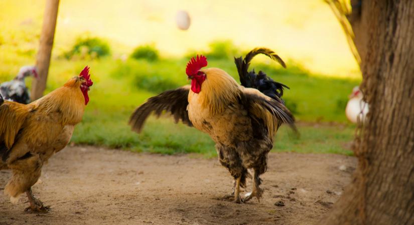 Az OKX vezérigazgatója nekiment a Binance-nek