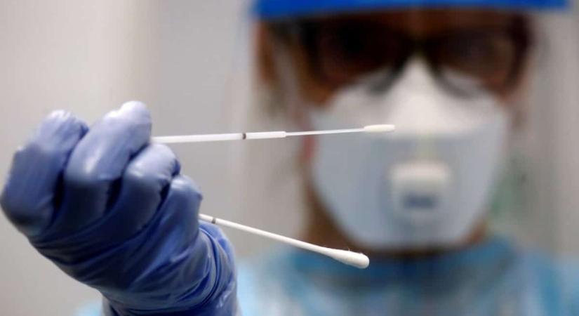 Európában is rohamosan terjed a rettegett Chagas-kór