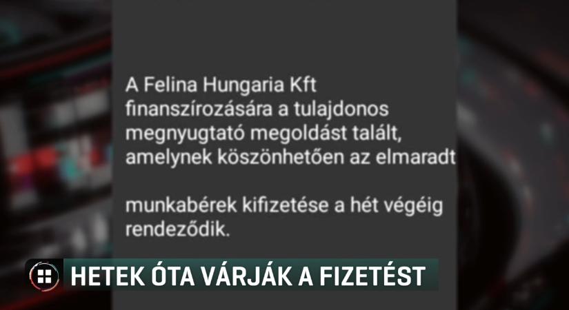 Hetek óta nem kapnak fizetést a szeghalmi Felina dolgozói, a cég azt ígéri, napokon belül utal