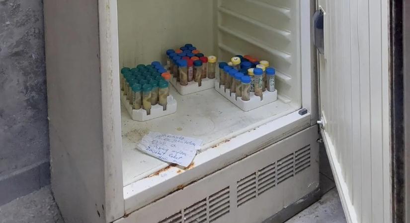 Állatkísérleteket végző, titkos, elhagyatott magyar kutatólabort találtak – galéria