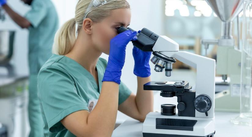 Az agyunkban élősködő gyakori parazita jóval aktívabb, mint hittük