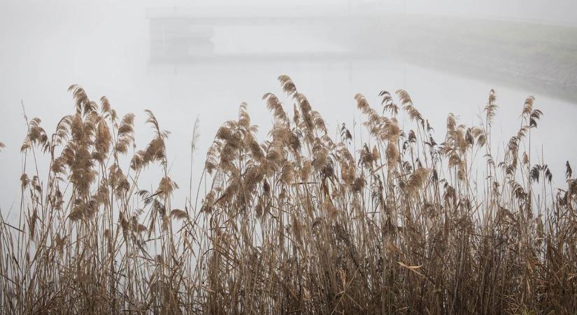 Vajon szükség lesz holnap is az esernyőre?