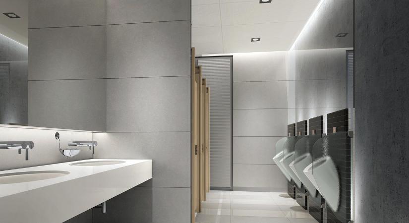 Gendersemleges WC-ket alakítanak ki az egyik uniós tagállam iskoláiban