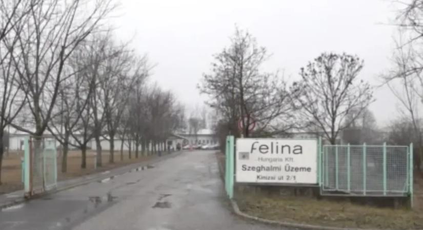 Hetek óta nem kapják meg bérüket az évek óta veszteséges Felina dolgozói