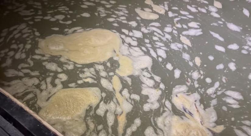 Orrfacsaró bűz Szekszárdon: hatósági vizsgálatok indultak a szag miatt