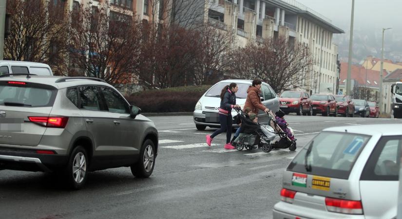 Minden átkelés egy orosz rulett: őrült hajsza a pécsi zebrán, ahol idősek és betegek közlekednek (VIDEÓ)