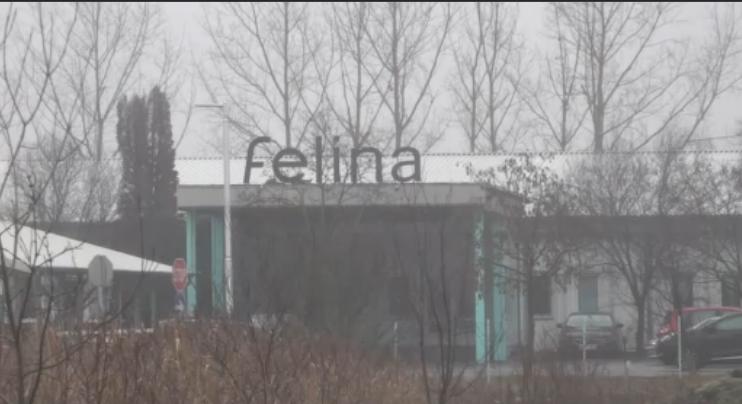 Hetek óta nem kaptak fizetést a szeghalmi Felina dolgozói