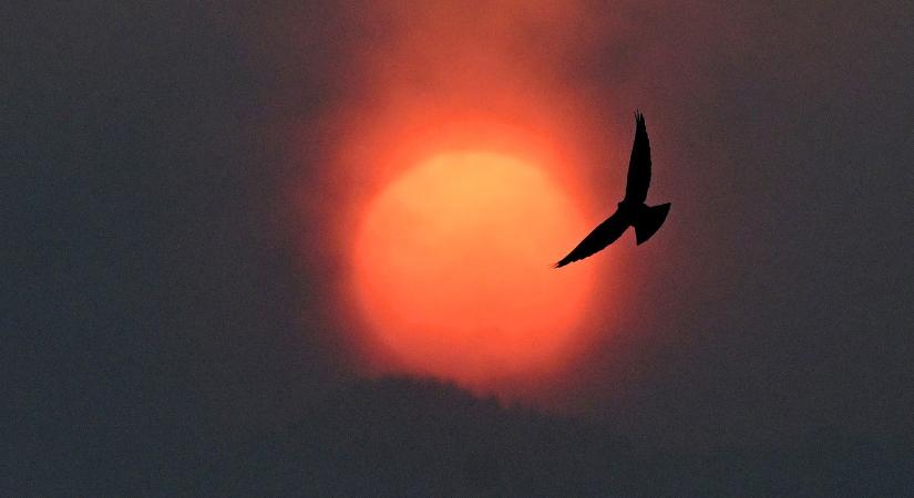 Őrült melegedésbe torkollik a havazás, itt a dátum, nagy hőmérséklet-emelkedés jön hazánkban, készülhet az egyik országrész?