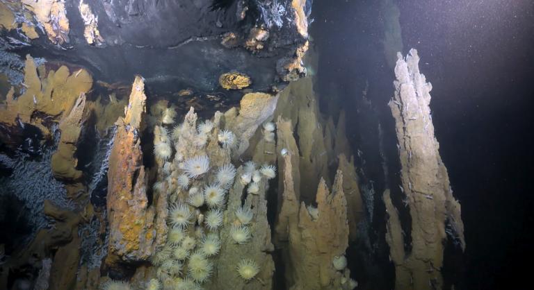 Egy elveszett város rejtőzik a mélyben, amelyhez foghatót még sosem láttunk a Földön