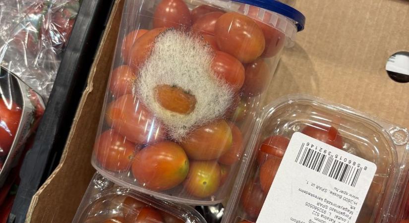 Szinte már mászott a paradicsom a boltban, annyira penészes volt - és olvasónk szerint ez szinte mindennapos