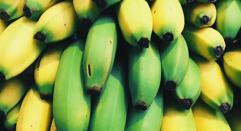 Egészséges vagy veszélyes? Kiderül az igazság a zöld banánról