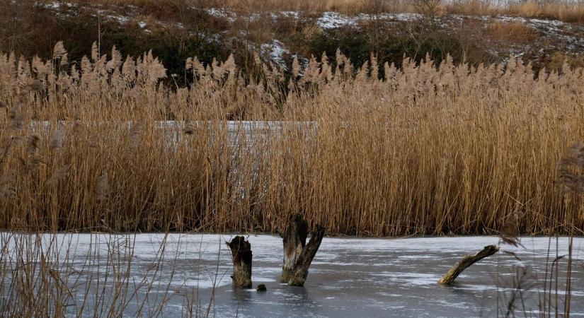 Száraz marad ma az időjárás térségünkben