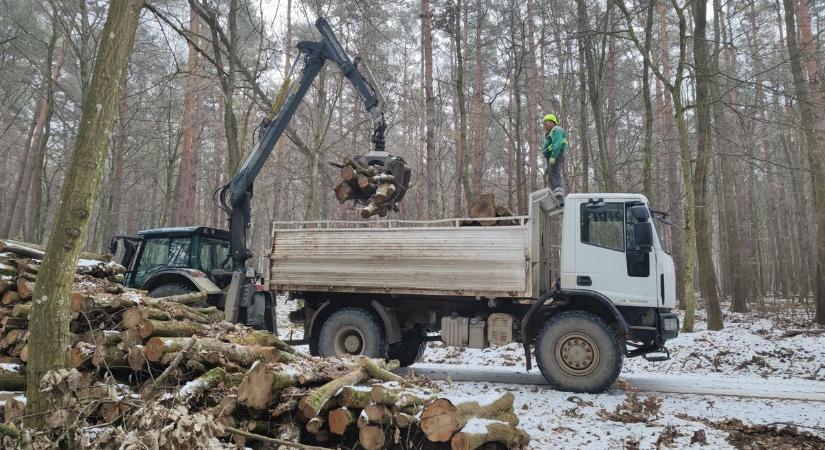 Rendkívüli hideg: a szombathelyi erdészet megkezdte az ingyen tűzifa kiszállítását